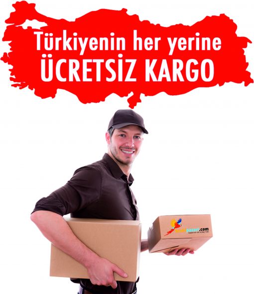 ankara kartvizit ücretsiz kargo